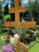 B6AA1110-DFA8-4AC8-BF57-30C01BC2BF05